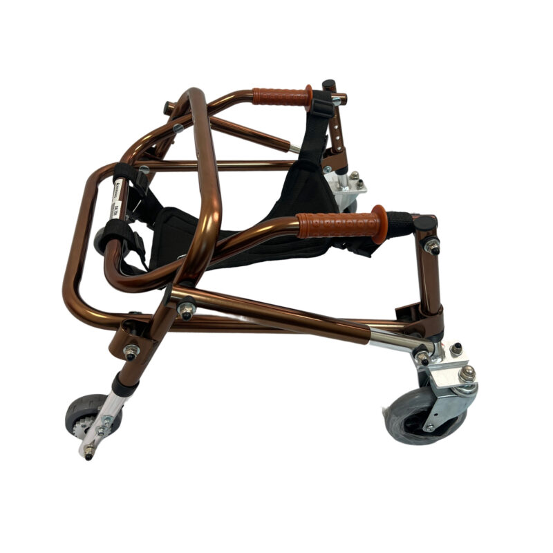 Dalton Medical- Foldable, Height adjustable , One-directional override bracket allows for forward and reverse mobility Gait Walker/Gait Trainer, Bronze, Weight Limit 220 lbs