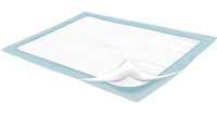 Disposable Fluff-Filled Underpad, Absorbency Heavy, 30"x 30" Pint,100 Counts/Case