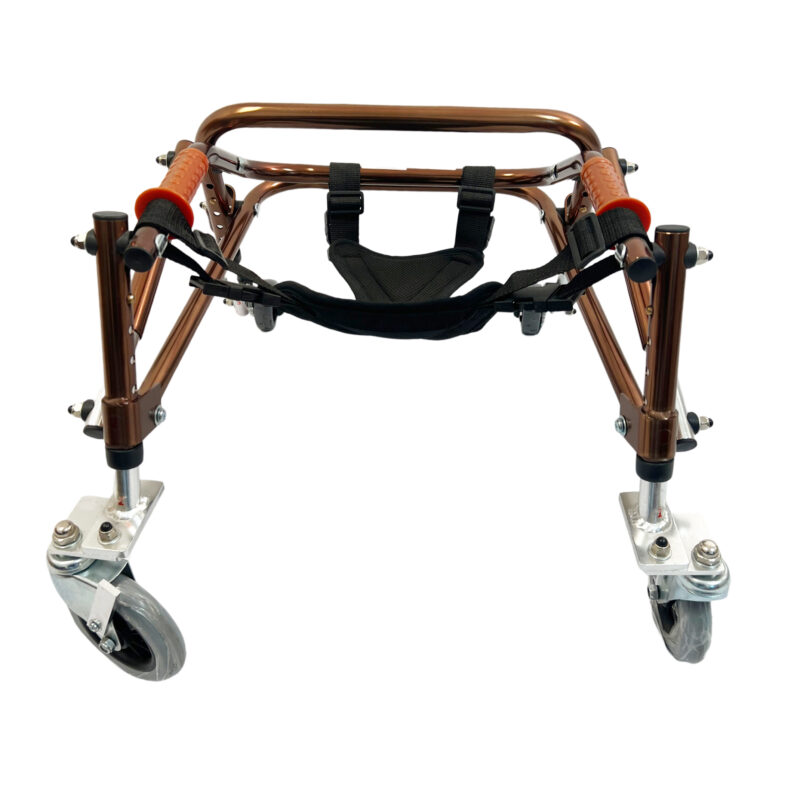 Dalton Medical- Foldable, Height adjustable , One-directional override bracket allows for forward and reverse mobility Gait Walker/Gait Trainer, Bronze, Weight Limit 220 lbs